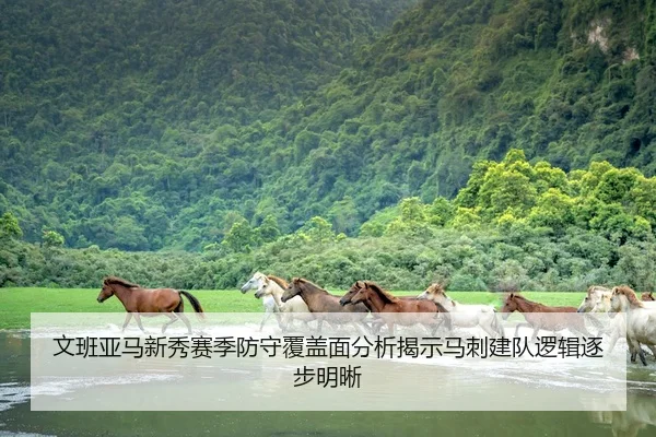 文班亚马新秀赛季防守覆盖面分析揭示马刺建队逻辑逐步明晰