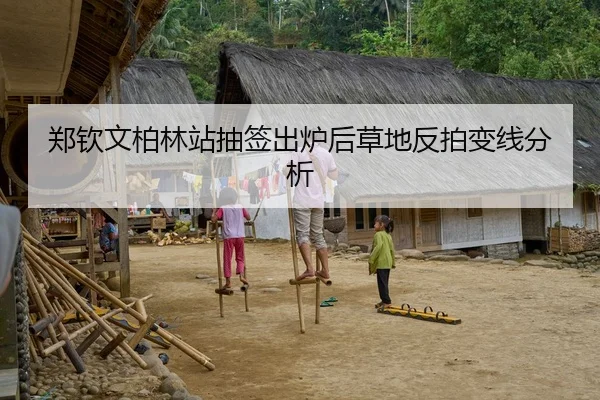 郑钦文柏林站抽签出炉后草地反拍变线分析